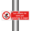 Les chiens ne sont pas autorisés à nager