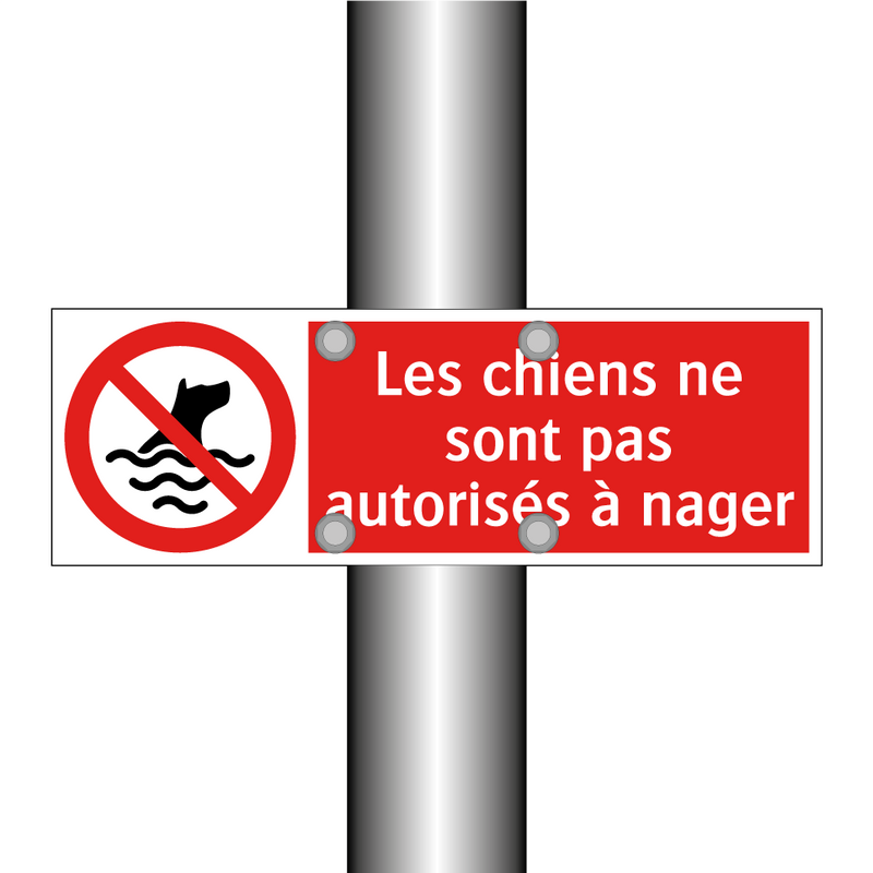 Les chiens ne sont pas autorisés à nager
