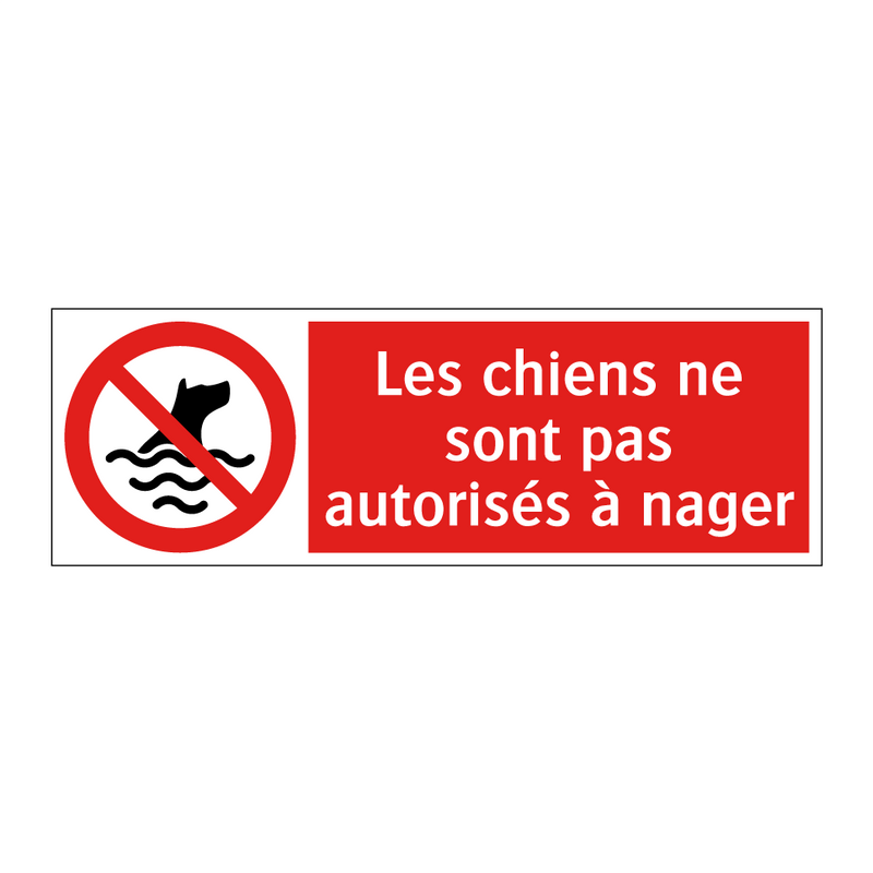Les chiens ne sont pas autorisés à nager