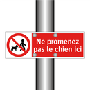 Ne promenez pas le chien ici