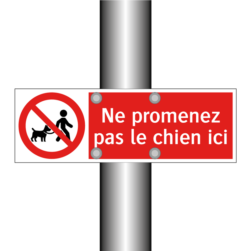 Ne promenez pas le chien ici