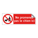 Ne promenez pas le chien ici