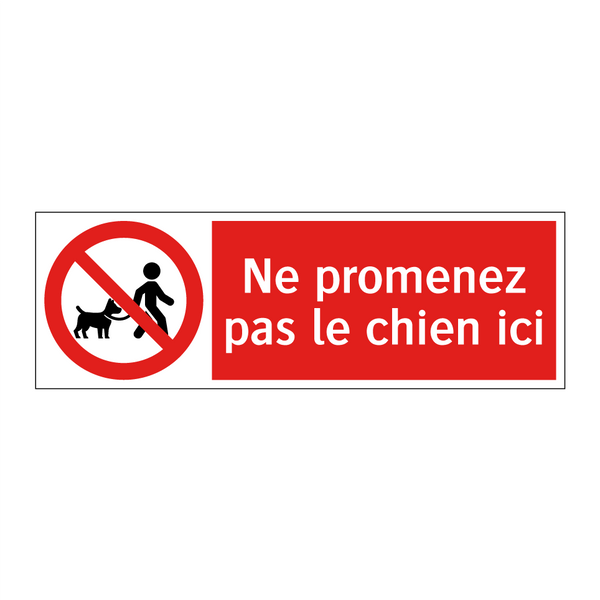 Ne promenez pas le chien ici