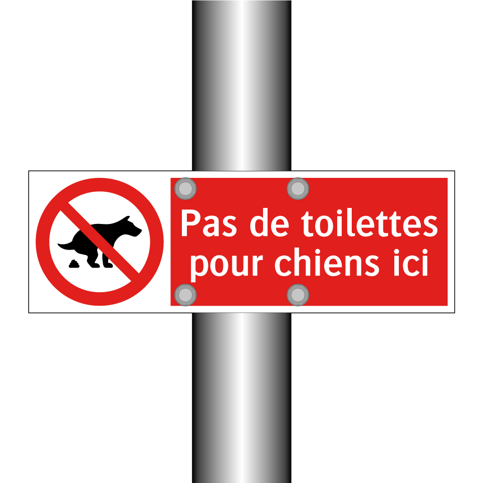 Pas de toilettes pour chiens ici