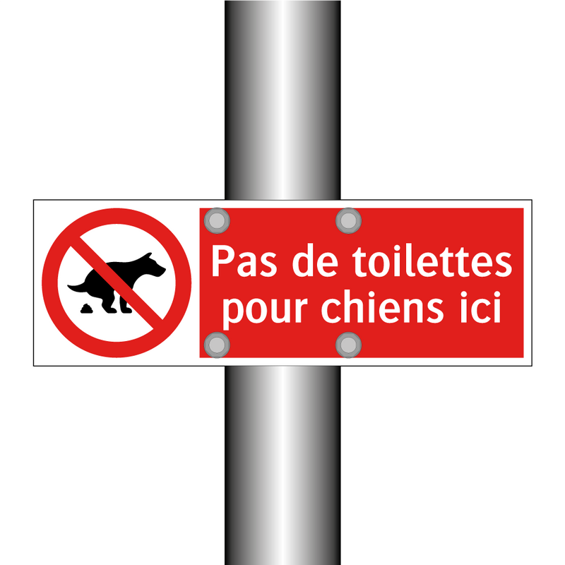 Pas de toilettes pour chiens ici