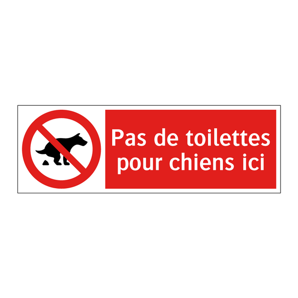 Pas de toilettes pour chiens ici