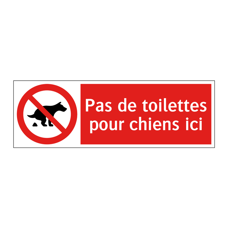 Pas de toilettes pour chiens ici