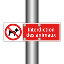 Interdiction des animaux