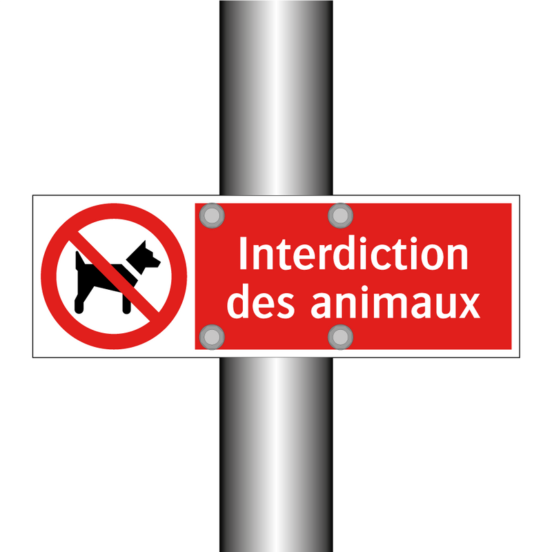 Interdiction des animaux