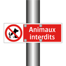 Animaux interdits
