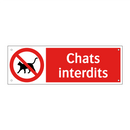 Chats interdits