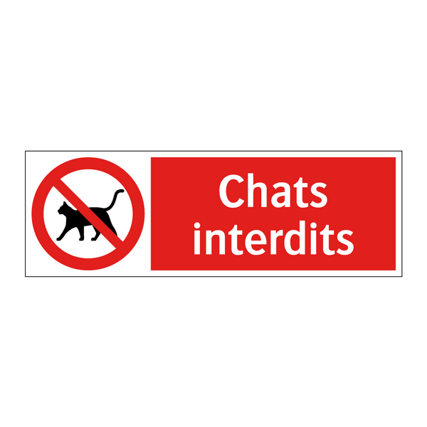 Chats interdits