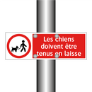 Les chiens doivent être tenus en laisse