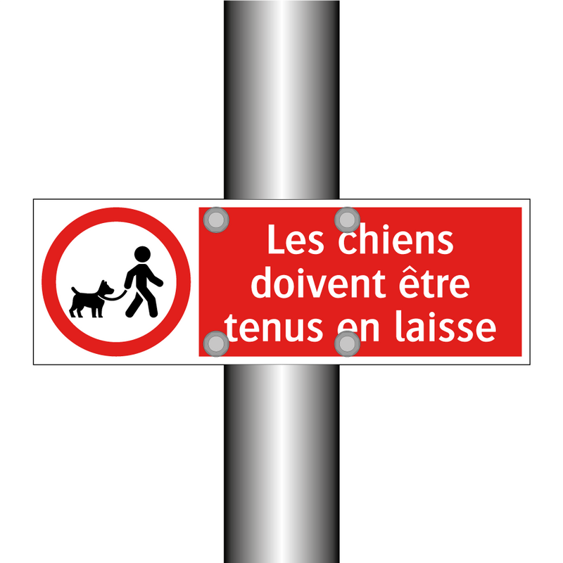 Les chiens doivent être tenus en laisse