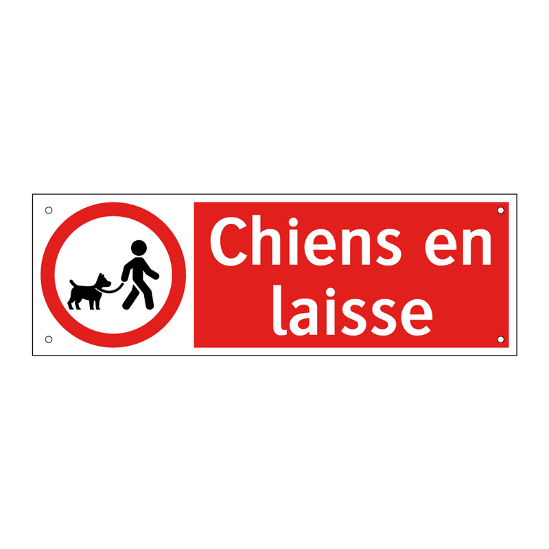 Chiens en laisse