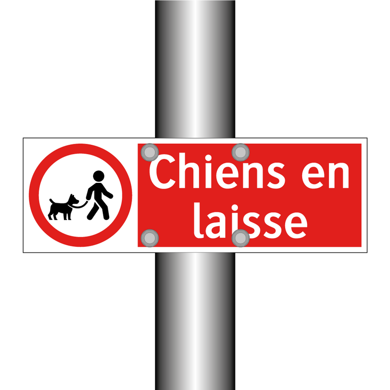Chiens en laisse