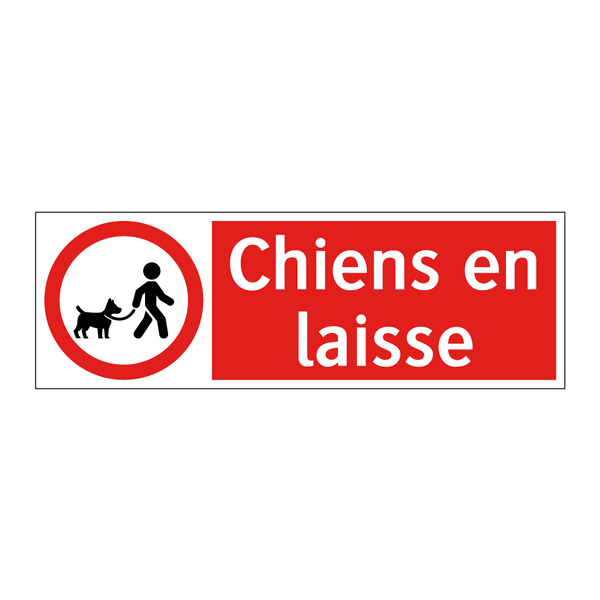 Chiens en laisse