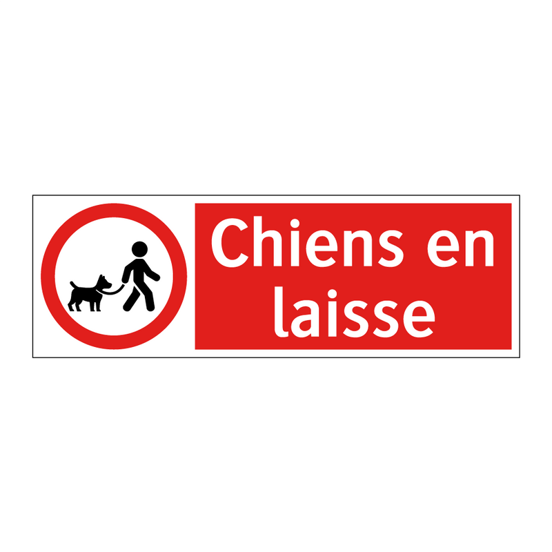 Chiens en laisse