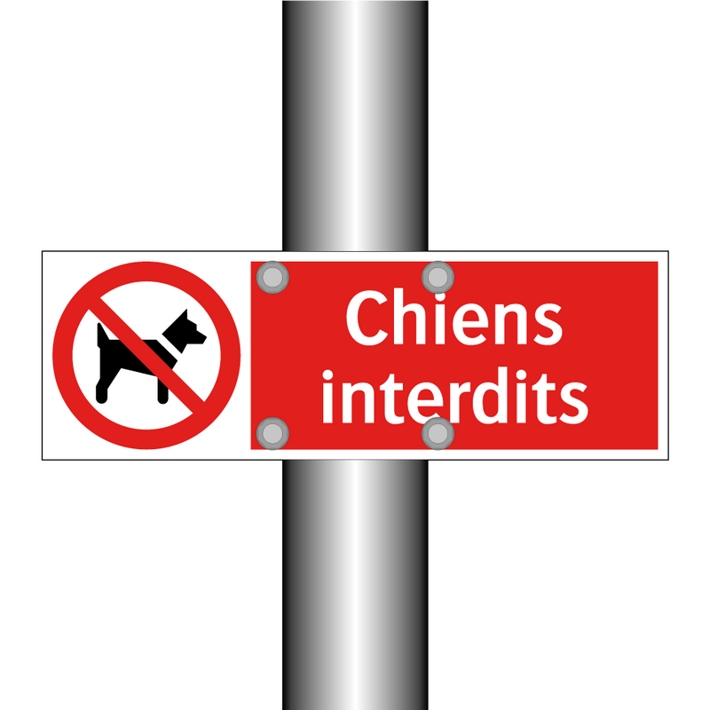 Chiens interdits