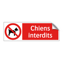 Chiens interdits
