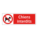 Chiens interdits