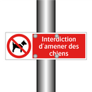 Interdiction d'amener des chiens