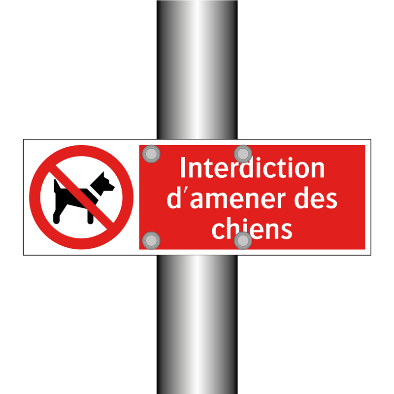 Interdiction d'amener des chiens