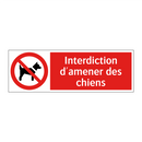 Interdiction d'amener des chiens