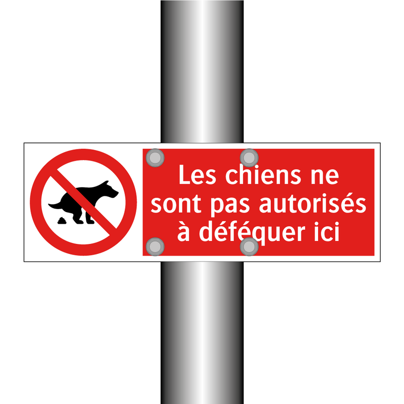 Les chiens ne sont pas autorisés à déféquer ici