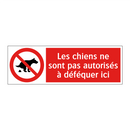 Les chiens ne sont pas autorisés à déféquer ici