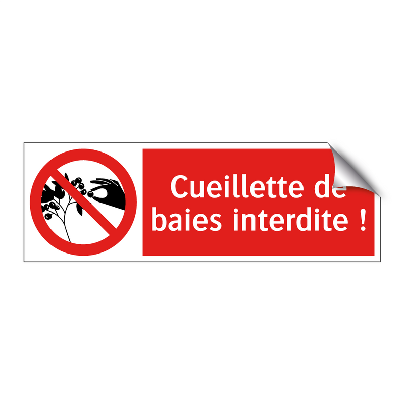 Cueillette de baies interdite !