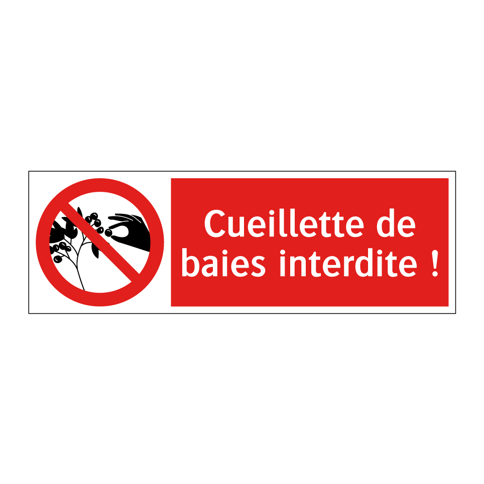 Cueillette de baies interdite !