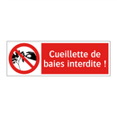 Cueillette de baies interdite !