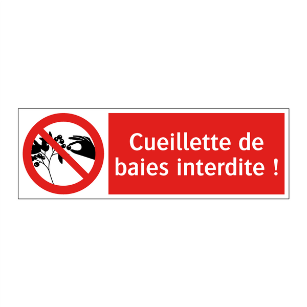 Cueillette de baies interdite !