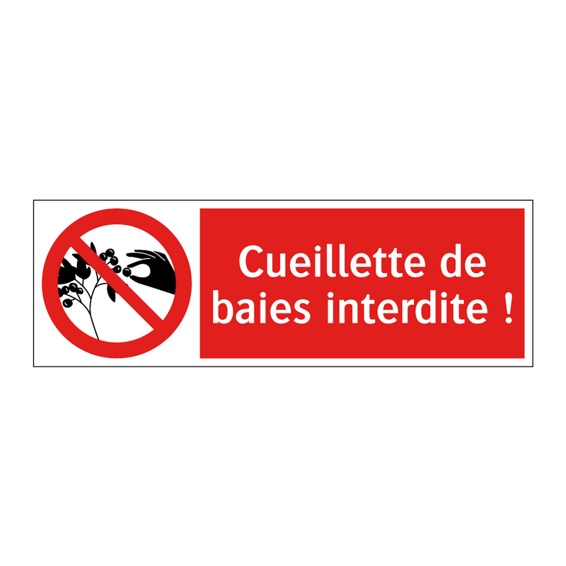 Cueillette de baies interdite !