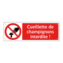 Cueillette de champignons interdite !