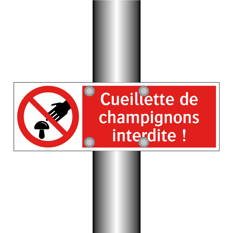 Cueillette de champignons interdite !