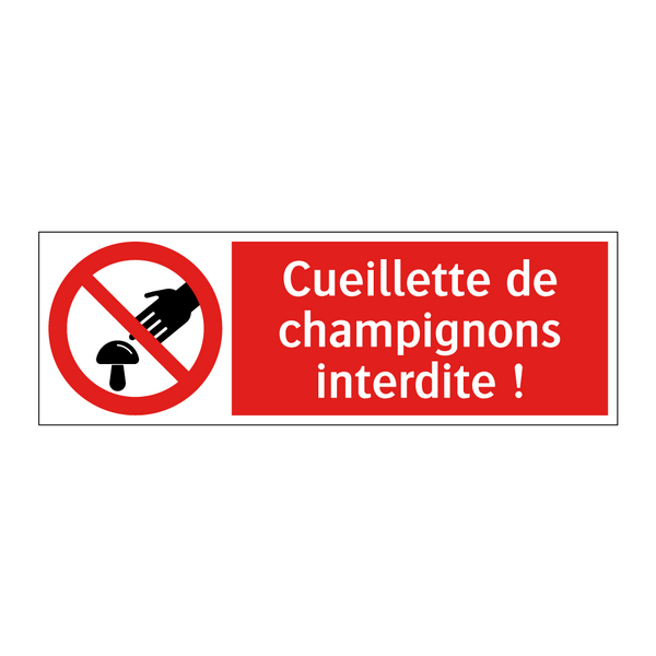 Cueillette de champignons interdite !