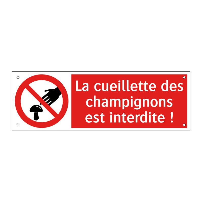 La cueillette des champignons est interdite !