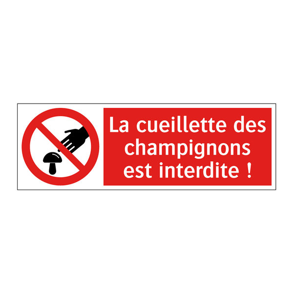 La cueillette des champignons est interdite !