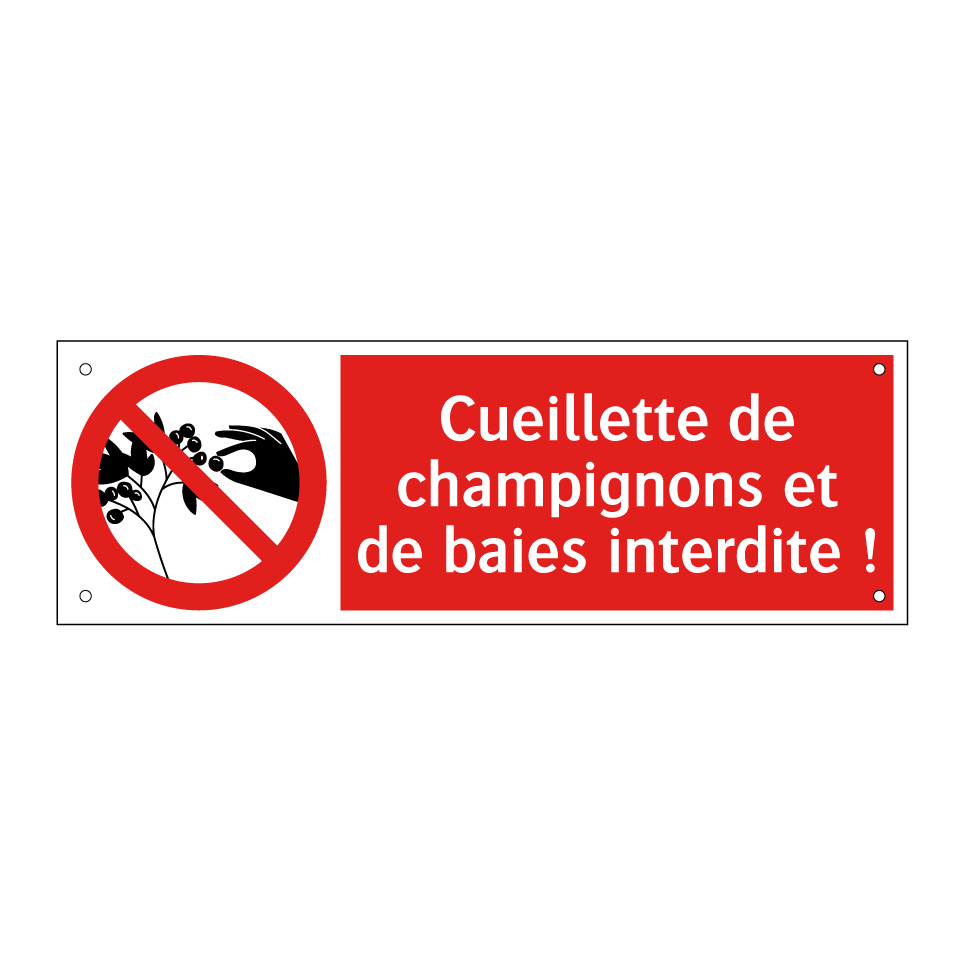 Cueillette de champignons et de baies interdite !