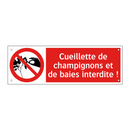 Cueillette de champignons et de baies interdite !