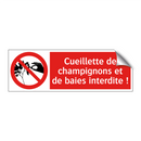 Cueillette de champignons et de baies interdite !