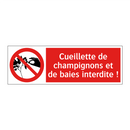 Cueillette de champignons et de baies interdite !