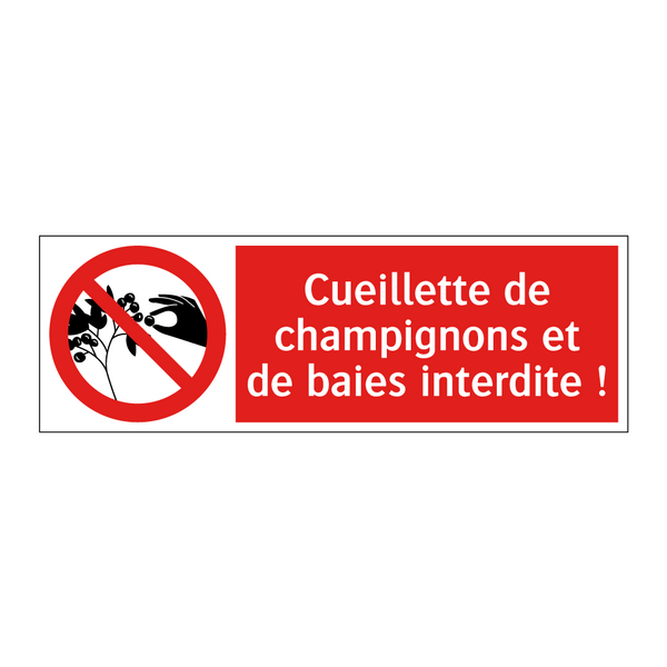 Cueillette de champignons et de baies interdite !