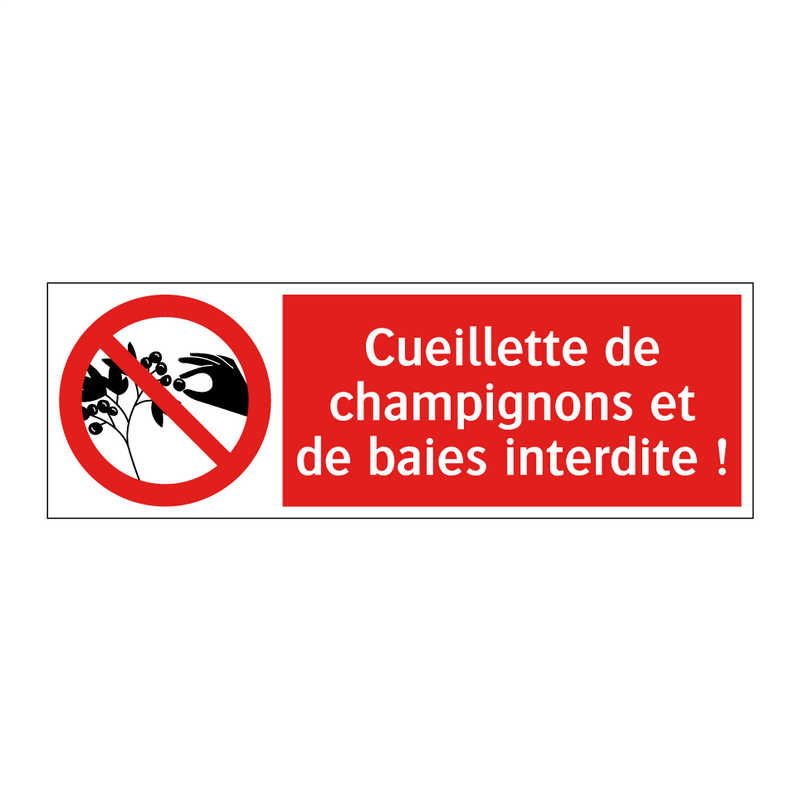 Cueillette de champignons et de baies interdite !