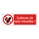 Collecte de noix interdite !