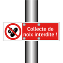 Collecte de noix interdite !