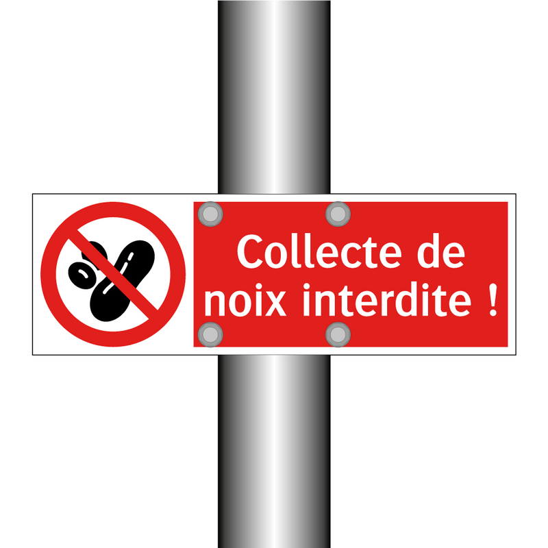 Collecte de noix interdite !