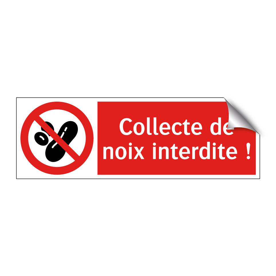 Collecte de noix interdite !